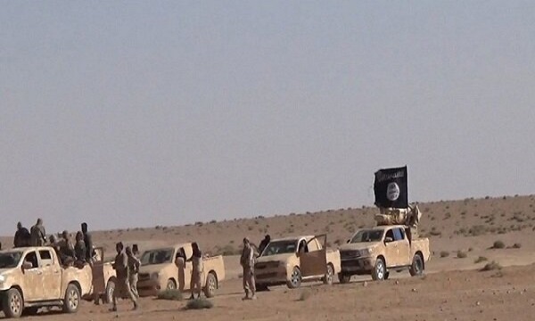هشدار نسبت به فعالیت‌های عناصر داعش در شرق شهر «فلوجه»
